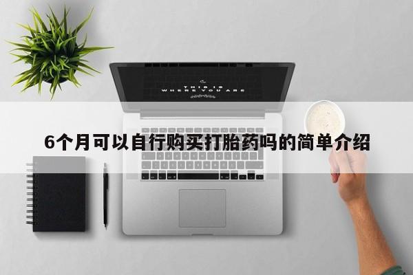 私人诊所有卖打胎药吗6个月可以自行购买打胎药吗的简单介绍